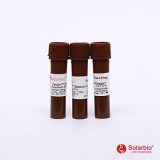 索莱宝 Zeocin Selection Reagent/1瓶装（100mg/mL）（Z8020）