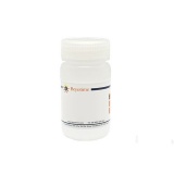 碧云天 Tricine (Cell Culture Grade)(三(羟甲基)甲基甘氨酸，细胞培养级)(ST756-20g)