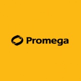 promega 胰酶