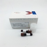 凯基 KGA108-2 Annexin V-FITC/PI双染细胞凋亡检测试剂盒 300tests