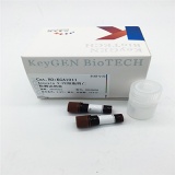 凯基 KGA107 Annexin V-FITC/PI双染细胞凋亡检测试剂盒 50 tests