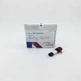 凯基 羊抗兔 IgG-HRP 0.1ml