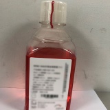 凯基 胰蛋白酶消化液（Hanks液，含酚红，不含EDTA） 100ml