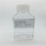 凯基 胰蛋白酶消化液（PBS，不含EDTA）100 ml