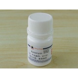 碧云天Kanamycin 1g