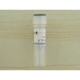 碧云天 dNTP Mixture (2.5mM each)(dNTP混合物)(D7371)