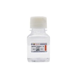 碧云天 BeyoPure Ultrapure Water (PCR级, Sterile)(ST873-100ml)