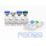 碧云天 Recombinant Human IL-1α(重组人IL-1α)(P5102-1mg)