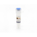 碧云天 Caspase抑制剂Z-VAD-FMK(C1202-0.02ml)