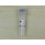 碧云天BeyoGold™ GST-tag Purification Resin(1ml)