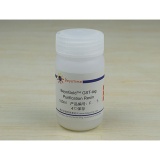 碧云天 BeyoGold GST-tag Purification Resin(GST标签蛋白纯化介质)(P2251)