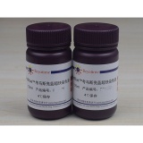 碧云天BeyoBlue™考马斯亮蓝超快染色液(250ml)