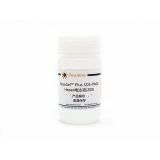 碧云天 BeyoGel Plus SDS-PAGE Hepes电泳液(20X)(P0552-100ml)