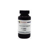 碧云天 10% SDS-PAGE下层胶预混液(P0670-500ml)