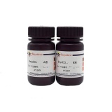 碧云天 BeyoECL Plus (超敏ECL化学发光试剂盒)(P0018S)