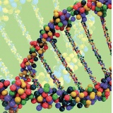 Takara- T4 Polynucleotide Kinase/1000U（2021A）