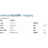 A800428 两性霉素B, 750μg/mg/500mg/1g/5g/25g