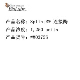 NEB SplintR® 连接酶  DNA连接酶 1,250 units