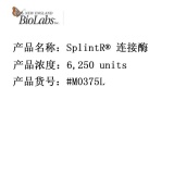 NEB SplintR® 连接酶  DNA连接酶 6,250 units