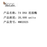 NEB T4 DNA 连接酶 20,000 units