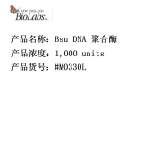 NEB Bsu DNA 聚合酶，大片段 1,000 units