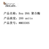 NEB Bsu DNA 聚合酶，大片段 200units