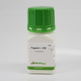 BioFroxx 1004GR025 胰蛋白酶1:250