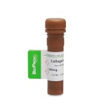 BioFroxx 2275MG100 胶原酶II型Collagenase II 2-8度