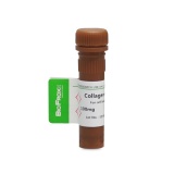 BioFroxx 1904MG100 胶原酶I型Collagenase I 2-8度