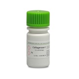 BioFroxx 1904GR001 胶原酶I型Collagenase I 2-8度