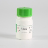 BioFroxx 1256GR005 溶菌酶/Lysozyme(Egg White)-20度