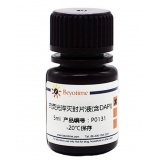 碧云天 抗荧光淬灭封片液(含DAPI)(P0131-5ml)