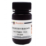 碧云天 抗荧光淬灭封片液(含DAPI)(P0131-25ml)