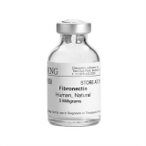 康宁（Corning）BD Biocoat 356008 人纤维连接蛋白, Fibronectin, Human