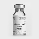 康宁（Corning）BD Biocoat 354249 高浓度鼠尾I型胶原, Collagen I, High Concentration, Rat Tail