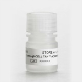 康宁（Corning）BD Biocoat 354240 细胞组织粘合剂, Cell and Tissue Adhesive