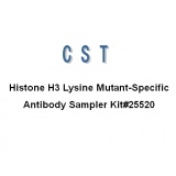 CST Histone H3 Lysine Mutant-Specific Antibody Sampler Kit/4*20ul