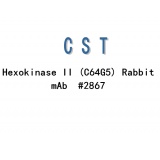 CST Hexokinase II (C64G5) Rabbit mAb #2867T/20ul