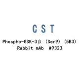 CTS Phospho-GSK-3β (Ser9) (5B3) Rabbit mAb #9323T/20ul