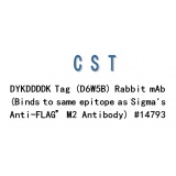 CST DYKDDDDK Tag (D6W5B) Rabbit mAb (Binds to same epitope as Sigma's Anti-FLAG® M2 Antibody)#14793S/100ul