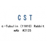 CST α-Tubulin (11H10) Rabbit mAb #2125S/100ul