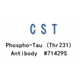 CST Phospho-Tau (Thr231) Antibody #71429S