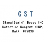 CST SignalStain® Boost IHC Detection Reagent (HRP, Rat)/15ml