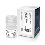 Thermo TaqMan™ Universal 预混液/1*5ml II，含UNG