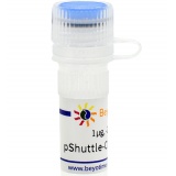 碧云天 pShuttle-CMV-C-DsRed (腺病毒质粒, 红色荧光)(D8115-1μg)