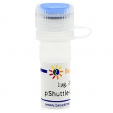 碧云天 pShuttle-CMV-N-HA(腺病毒质粒)(D8133-1μg)