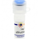 碧云天 pShuttle-CMV-N-His(腺病毒质粒)(D8135-1μg)