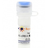 碧云天 pCAG-dR8.9 (慢病毒包装用质粒)(D8216-1μg)