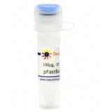 碧云天 pFastBac1-C-EGFP (昆虫杆状病毒表达质粒)(D2804-100μg)