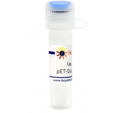 碧云天 pET-Dual-N-His-TEV (双蛋白原核表达质粒)(D2934-1μg)